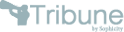 City Government Website Management